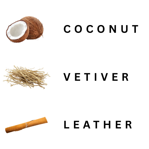 Coconut, Vetiver, and Leather scents with corresponding labels on a white background