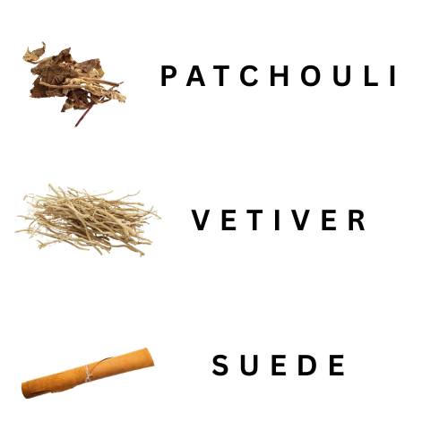 Three different types of herbs labeled 'Patchouli', 'Vetiver', and 'Suede' on a white background.