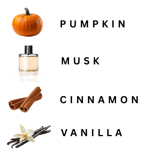Illustration of pumpkin, perfume bottle, cinnamon sticks, and vanilla beans with corresponding labels on a white background.