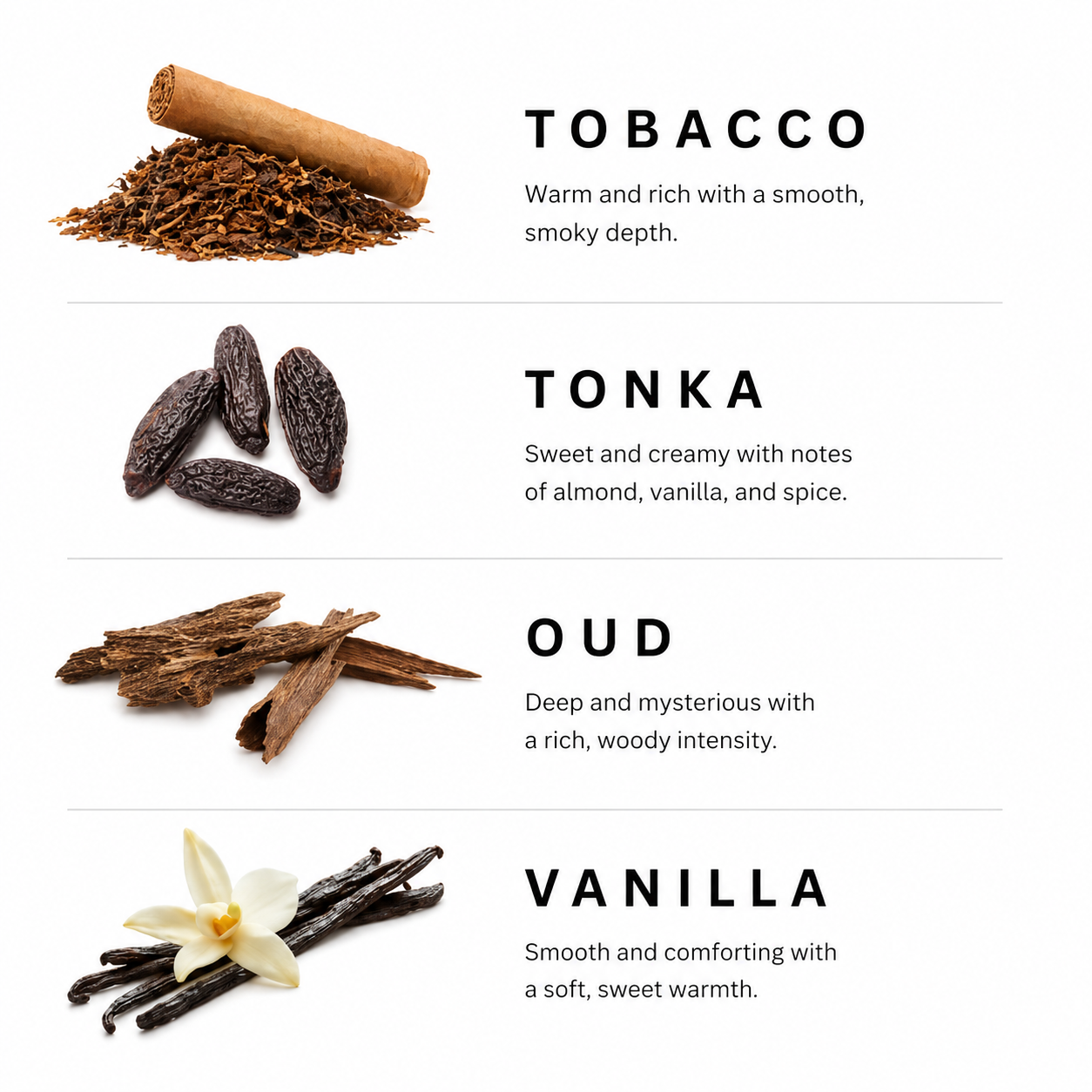 Spices and herbs with labels for Tobacco, Tonka, Oud, and Vanilla on a white background